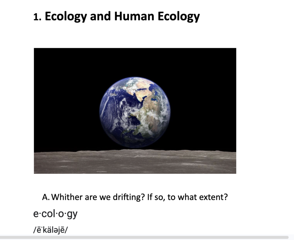 William Kornblum Studies in Human Ecology — before