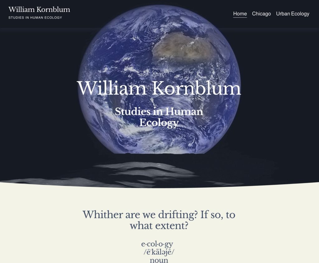 William Kornblum Studies in Human Ecology — after